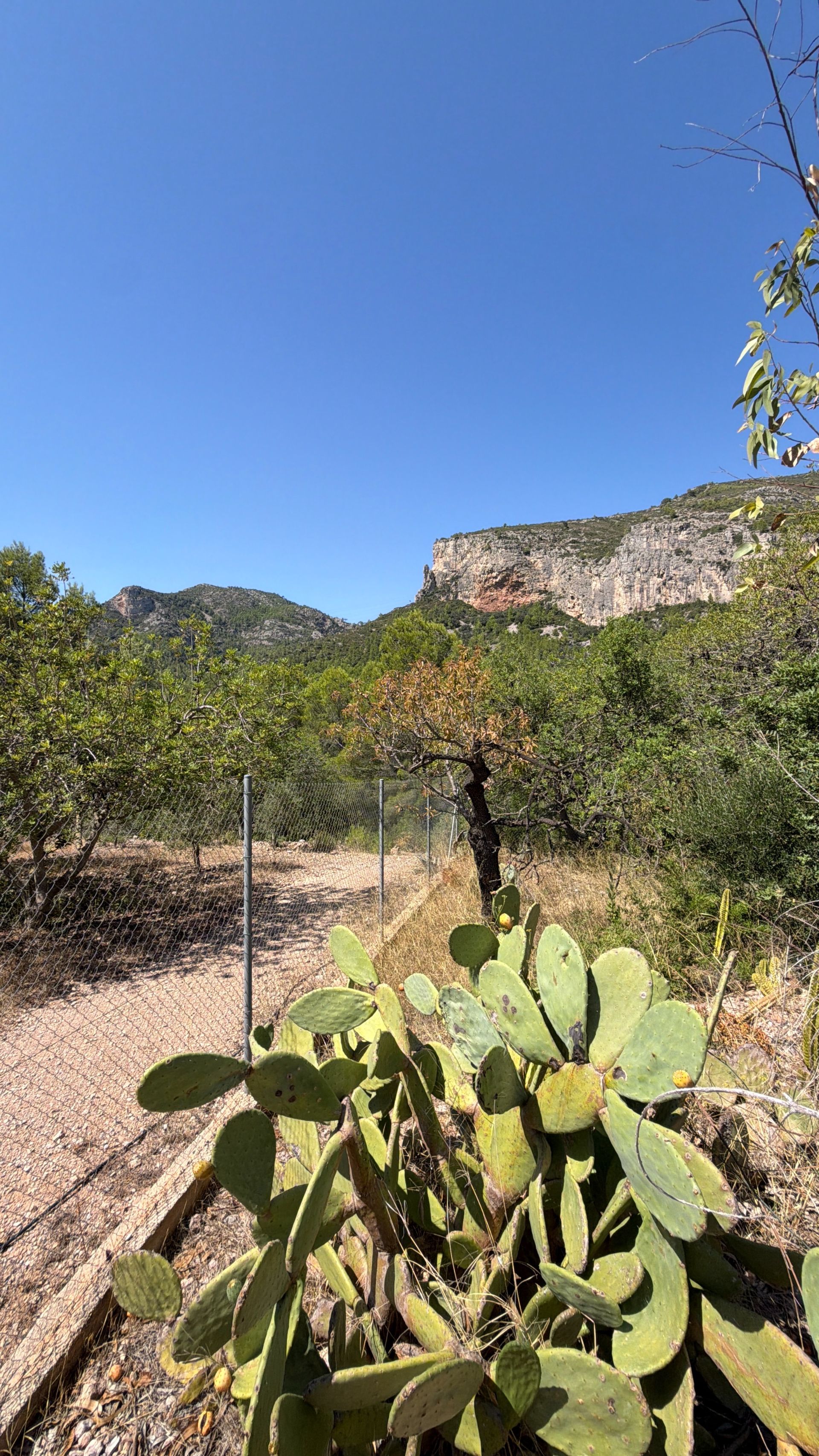 ++ Finca rustical en Vandellos ++ - Image 39